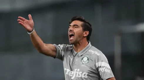 (Foto: Cesar Greco/ Site Oficial Palmeiras/by Canon)