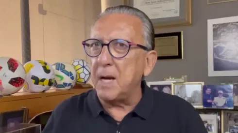 Galvão Bueno fala sobre o Palmeiras. Reprodução Redes Sociais de Galvão Bueno
