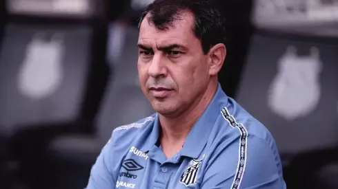 Foto: Ettore Chiereguini/AGIF – Carille é o novo treinador do Santos
