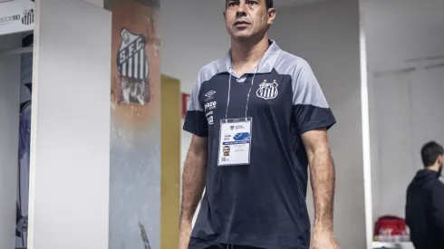 Foto: Raul Baretta/ Santos FC – Carille se sente mais leve no Santos
