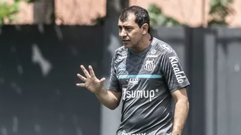 Torcida do Santos se preocuupa com situação de defensot contra o Palmeiras. Foto: Ivan Storti/Santos FC
