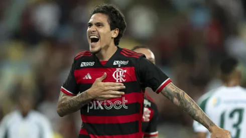 Flamengo comemora gol diante do Boavista. Centroavante vive bom momento