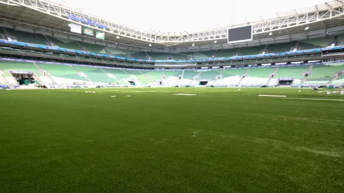 Palmeiras não deve encarar Novorizontino no Allianz Parque. Foto: César Greco- Palmeiras 
