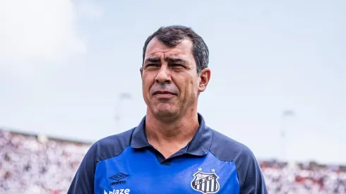 Fábio Carille tem grande desempenho pelo Santos.  Foto: Abner Dourado/AGIF
