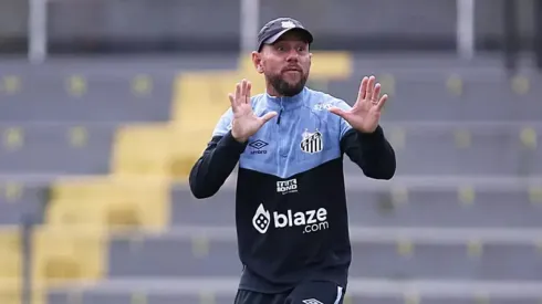 Treinador já esteve à frente da Seleção Brasileira. Divulgação/Pedro Ernesto Guerra Azevedo/Santos FC.
