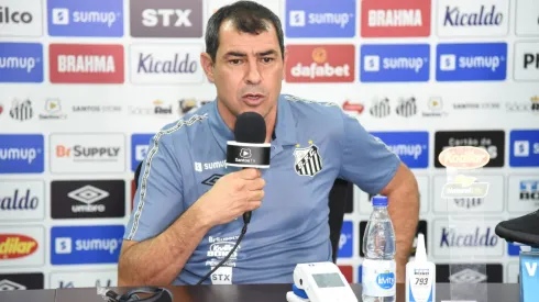 Carille contesta decisão do VAR em Palmeiras x Santos Foto: Ivan Storti/Santos
