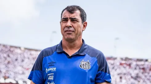 Foto: Abner Dourado/AGIF - Fábio Carille durante partida do Santos