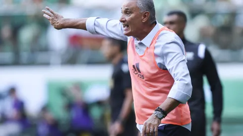 Tite falou sobre o gramado sintético do Allianz 
