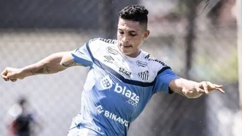 Foto: Raul Baretta/Santos FC – Rodrigo Ferreira fala sobre estreia
