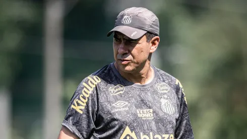 Fábio Carille analisa a contratação do meia, visando o planejamento para a Série B do Brasileiro
