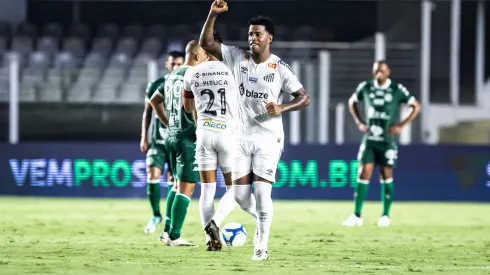 Zagueiro no momento em que comemorava o gol