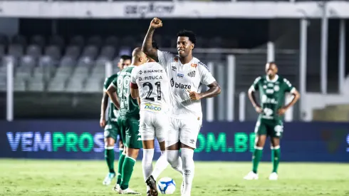 Gil teve gol anulado na vitória do Peixe 
