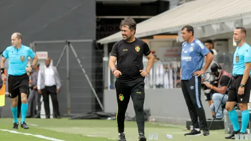 Luizinho Lopes analisou vitória do Peixe e momento do Alvinegro