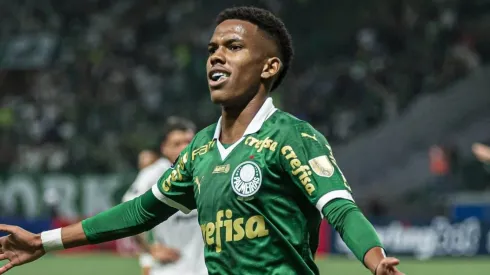 Foto: Foto: Divulgação/Site Oficial do Palmeiras