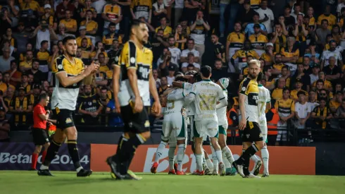 Jogadores do Palmeiras comemoram gol durante partida contra o Criciuma. Foto: Leonardo Hubbe/AGIF
