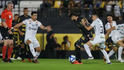 Foto: Pedro Zacchi/AGIF – Novorizontino bate o Santos por 3 a 1 nesta sexta-feira (7) pelo Brasileirão Série B 2024
