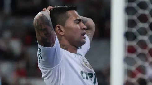 Dudu, do Palmeiras, lamenta chance perdida durante partida contra o Athletico-PR no estádio Arena da Baixada pelo Brasileirão Série A 2019. Foto: João Vitor Rezende Borba/AGIF
