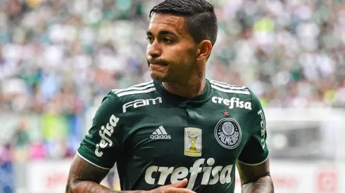 Paulo Massini perde a paciência com postura de Dudu nos bastidores do Palmeiras