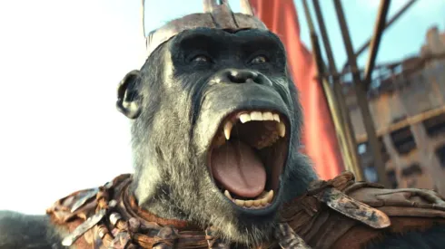 “Planeta dos Macacos: O Reinado” dispara no Disney+ | Foto: Reprodução

