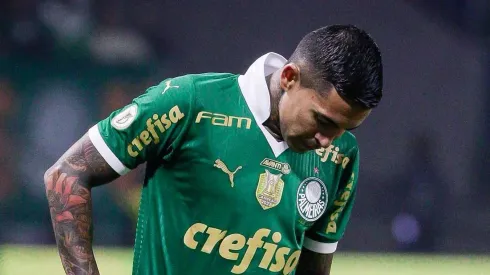 Dudu, ídolo do Palmeiras
