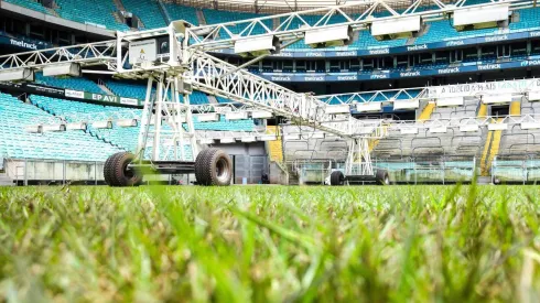 Foto do gramado da Arena
Foto: Arena do Grêmio
