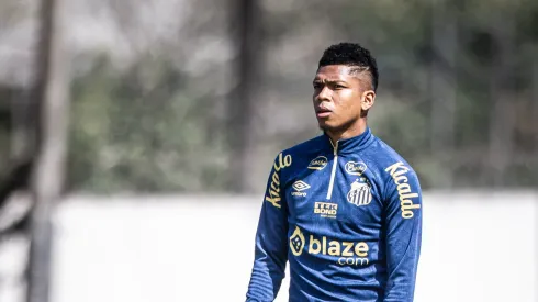 Billy Arce é relacionado e pode estrear pelo Santos. Foto: Raul Baretta/ Santos FC
