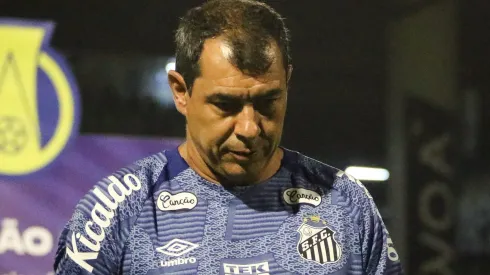 Fábio Carille durante partida entre Avaí e Santos, no Estádio Ressacada, pela Série B do Campeonato Brasileiro, no dia 26/04/2024. 
