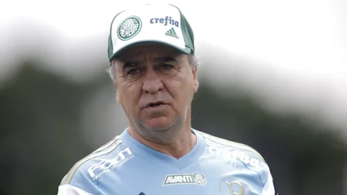 Palmeiras foi campeão com Marcelo Oliveira de técnico.
