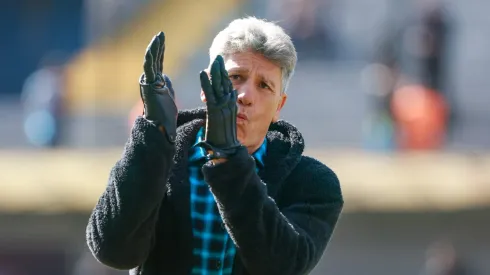 Renato Portaluppi tecnico do Gremio durante partida contra o Vitoria no estadio Francisco Stedile pelo campeonato Brasileiro A 2024. 
