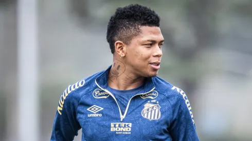 Billy Arce, atacante equatoriano do Santos – Foto: Raul Baretta/ Santos FC
