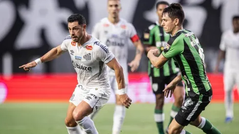 Raul Barreto / Santos