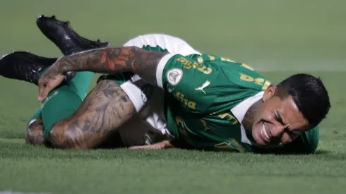 Foto: Ettore Chiereguini/AGIF – Dudu sofre falta pelo Palmeiras
