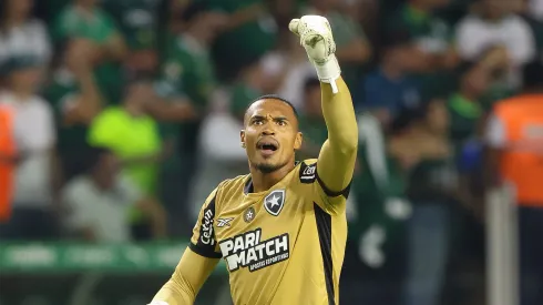 John Victor jogador do Botafogo comemora seu gol com jogadores do seu time durante partida contra o Palmeiras no estádio Arena Allianz Parque pelo campeonato Brasileiro A 2024.