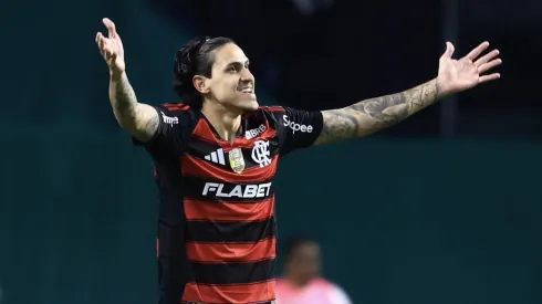 SP – SAO PAULO – 25/05/2025 – BRASILEIRO A 2025, PALMEIRAS X FLAMENGO – Pedro jogador do Flamengo comemora o gol de Ayrton Lucas durante partida contra o Palmeiras no estadio Arena Allianz Parque pelo campeonato Brasileiro A 2025. Foto: Marcello Zambrana/AGIF