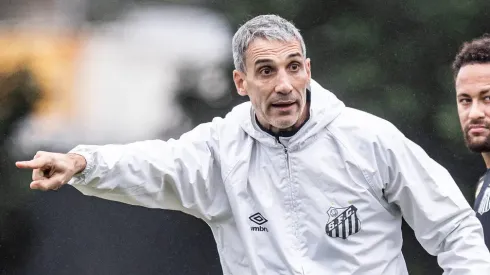 Vojvoda quer reforços para 2026.
