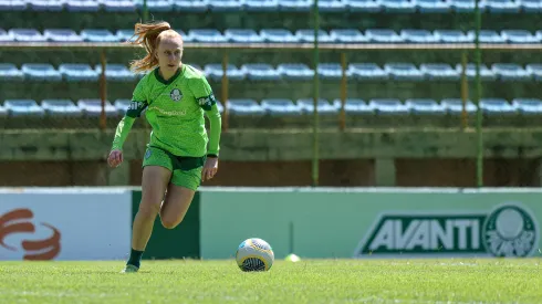 Palmeiras se prepara para treino aberto antes da final da Copa do Brasil – Foto: Paloma Cassiano/Palmeiras