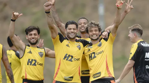 Galo inicia preparação para o