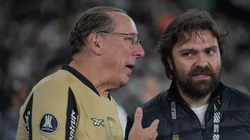 Botafogo em 2025. Foto: Thiago Ribeiro/AGIF
