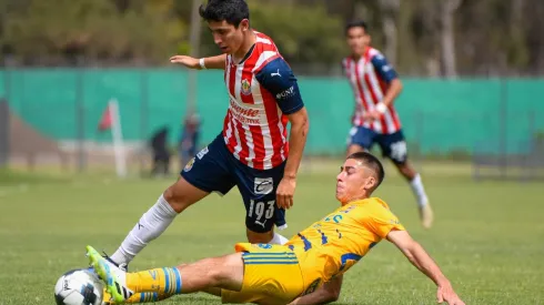 Juveniles de Chivas y Tigres se enfrentan (IMAGO 7)
