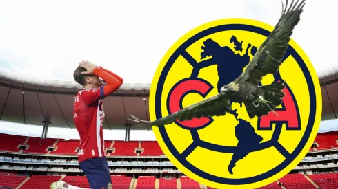 ¿Buscan a examericanista?