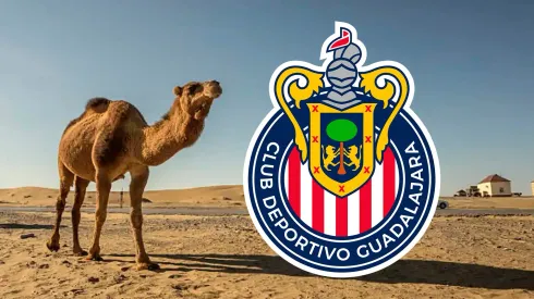 Ex-Chivas es buscado en Medio Oriente.
