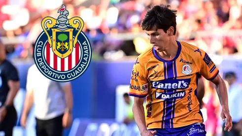 Se burla de Chivas? El polémico comentario de Damm - Rebaño Pasión