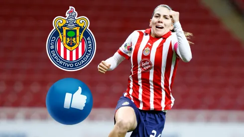 Cuántos títulos de Liga MX tiene Chivas en su historia? - Rebaño Pasión