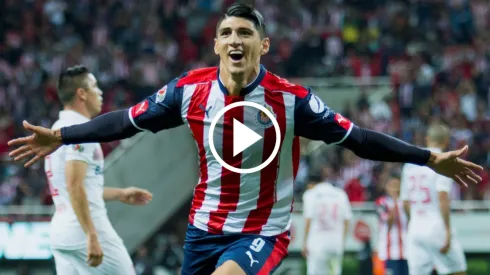 Los seis goles de Alan Pulido al Toluca.
