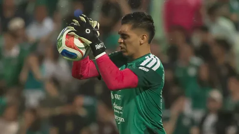 El terrible trato contra el Tala Rangel