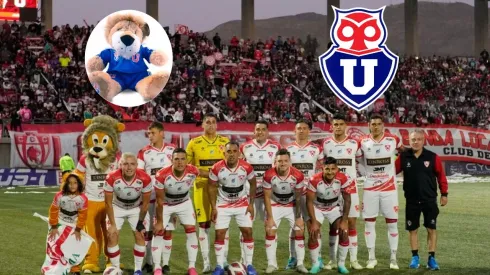 León Azul espera la ayuda del León de Atacama