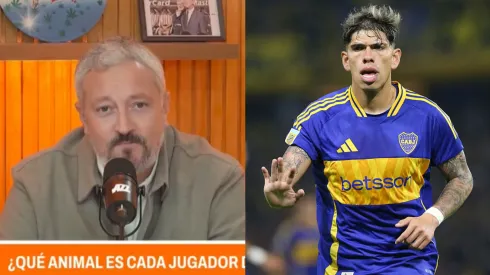 Carrozza insultó duramente a Carlos Palacios 
