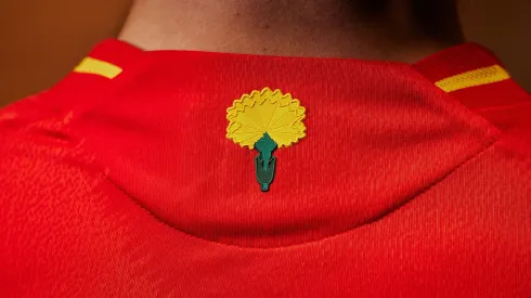 Clavel en la camiseta de la Selección de España
