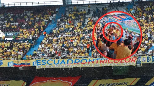 Hincha de Colombia "se quitó todo" en la tribuna