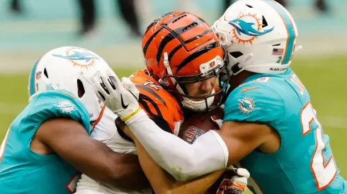 Bengals vs Dolphins. (Getty)
